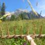 Riedlhof Leogang_Landschaft