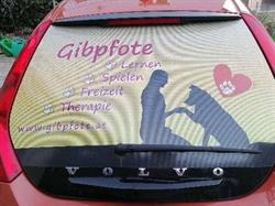 Gibpfote - lernen, spielen, Freizeit, Therapie