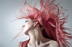 Coiffeur wenesty