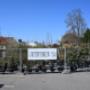 Blumen 2000 Aktionen