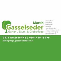 Martin Gasselseder - Baumpflege Gasselseder