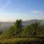 Weingut Triebl Franz - Lage Straden