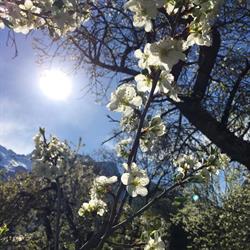 Ferienwohnung Steiner - Sautens - Oetztal