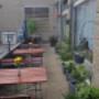 Hinterer sonniger Garten für unsere Sonnenanbeter