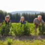 Unsere Aroniabeeren wachsen über 1150 m Seehöhe in einer der sonnenreichsten Gegenden Österreichs. Unsere Aroniabeeren wachsen über 1150 m Seehöhe in einer der sonnenreichsten Gegenden Österreichs.