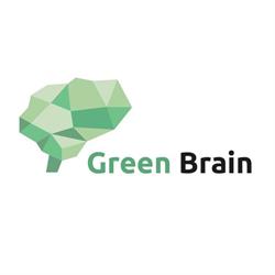 Greenbrain Kinesiologie – Lebens- und Sozialberatung