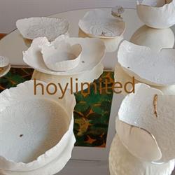 Hoylimited