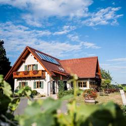 Weingut & Gästezimmer Gamser
