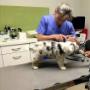 # 4