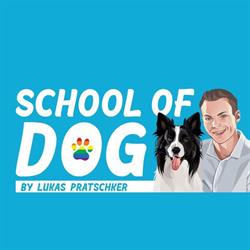 School of Dog by Supertalent Lukas und Falco