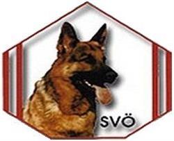 SVÖ OG46 Kapfenberg/Bruck