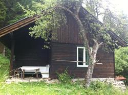 Das Waldhaus