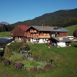 Pflüglhof Apartment Mittersill