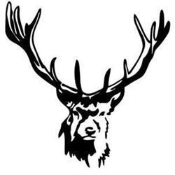 PlatzHirsch