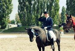 Reitsportzentrum Hofstatt