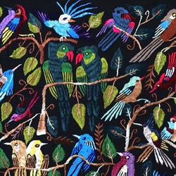 Vanni's Vogelwelt