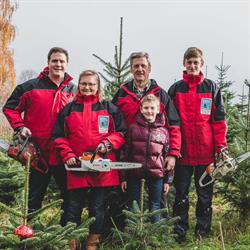 Christbaum Augeneder