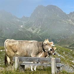 Haus Berta, Partenen - Ferienwohnungen im Montafon