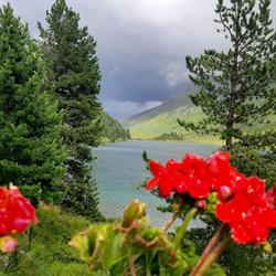Alpengasthaus Obersee Staller Sattel