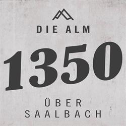 1350 - Die Alm uber Saalbach