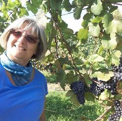 Weingut Welkovits