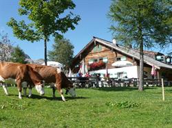 Mitterfeldalm