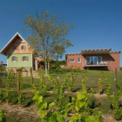 Ferienhäuser im Weingarten