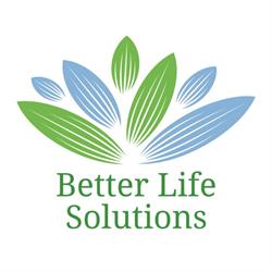 BLS Better Life Solutions e.U.