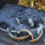 Collier Murmeltierzähne
Ohrstecker
Silber
G.rex® Collier Murmeltierzähne
Ohrstecker
Silber
G.rex®