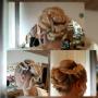 Frisuren