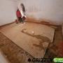 GRIZZLY Mauertrockenlegung - LDPE Folie GRIZZLY Mauertrockenlegung - LDPE Folie
