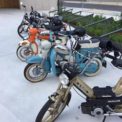 Flanagan’s - Biker Bar
