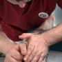 Tuina Massage TCM Praxis Qi Care Wien