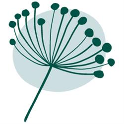 WISH Mindscience