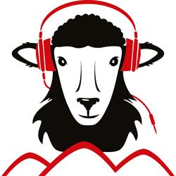 Sheep Hill Studios