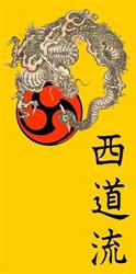 Seidoryu Karate Baden
