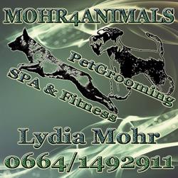 Mohr4animals