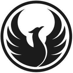 Black Phoenix Positioning GmbH