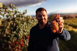 Marianne Eder (Weingut Eder)