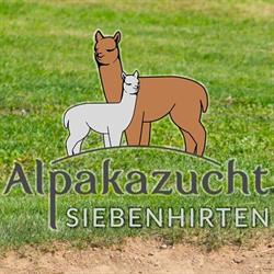 Alpakazucht Siebenhirten
