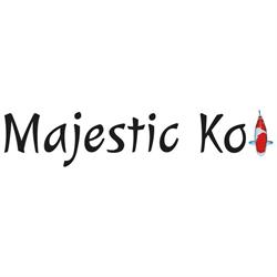 Majestic Koi