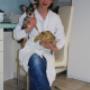 Portrait Tierärtzin -  Agnes Hufnagl - 3812 Groß-Siegharts