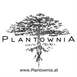 Plantownia GesbR