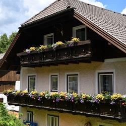 Chalet Mur