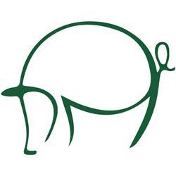 Mostviertler Weideschweine