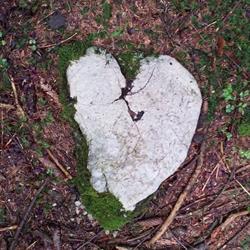 Waldharmonie