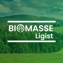 Biomasse Ligist Gmbh