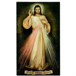Heilerin Jungreithmaier Irene, Jesus heilt