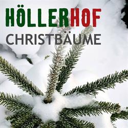 Höllerhof Christbäume