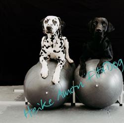 Fit4dog